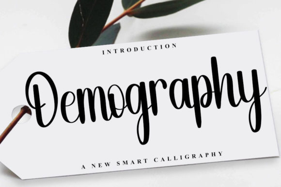 Demography Font: The Script Handwritten Typeface for Campaigns