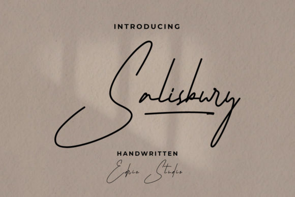 Salisbury Font: Elevating Small Business Branding